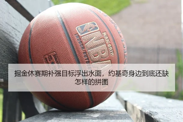 掘金休赛期补强目标浮出水面，约基奇身边到底还缺怎样的拼图 - ngtiyu